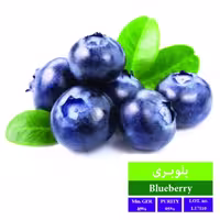 بذر بلوبری بذر طلایی رویان 