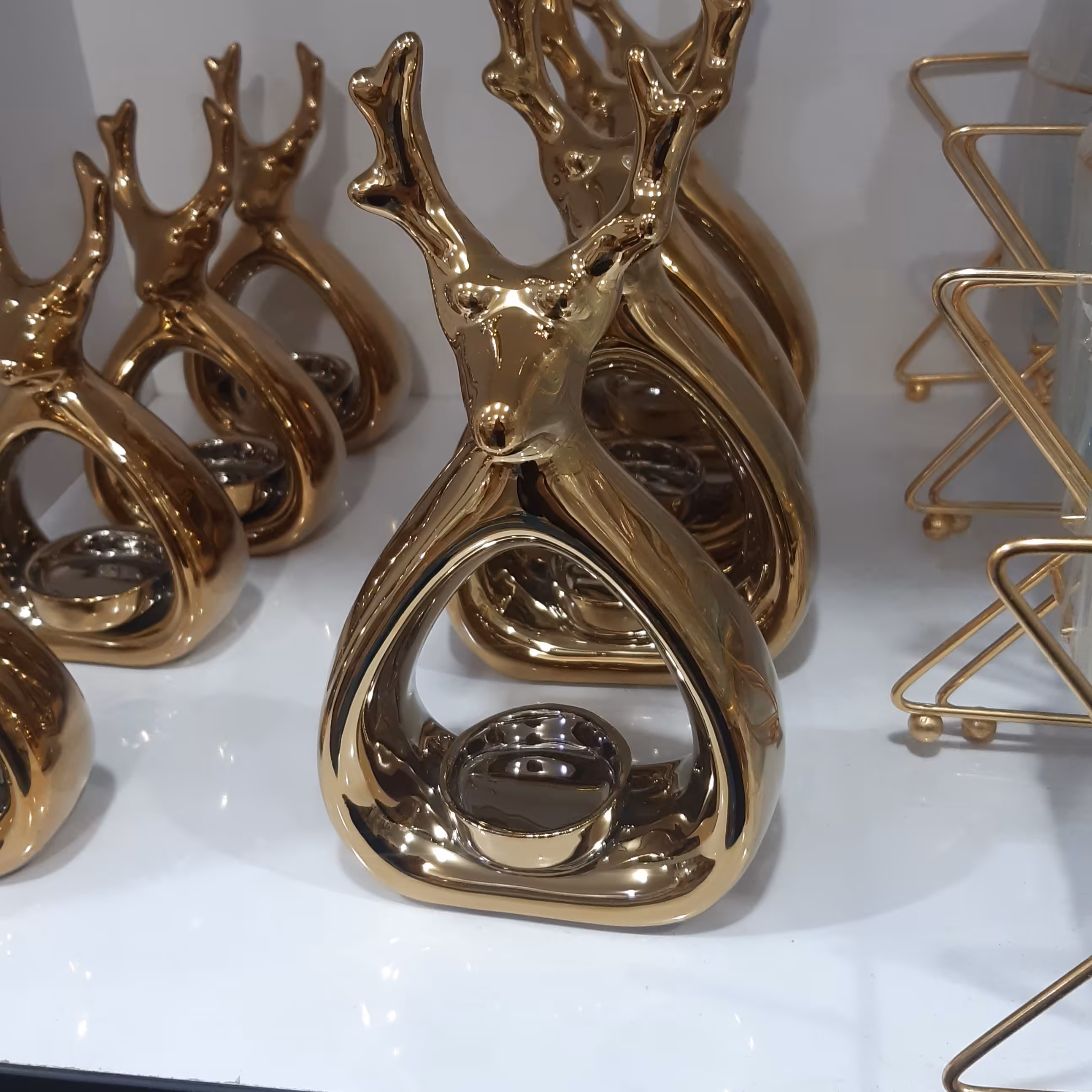 جاشمعی گوزن بزرگ