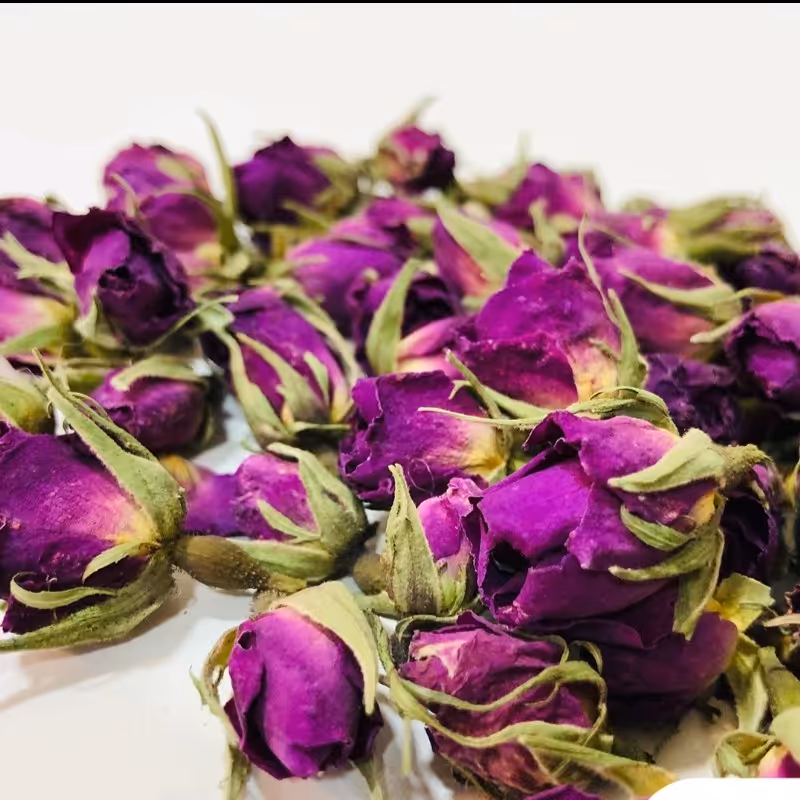 غنچه گل محمدی 