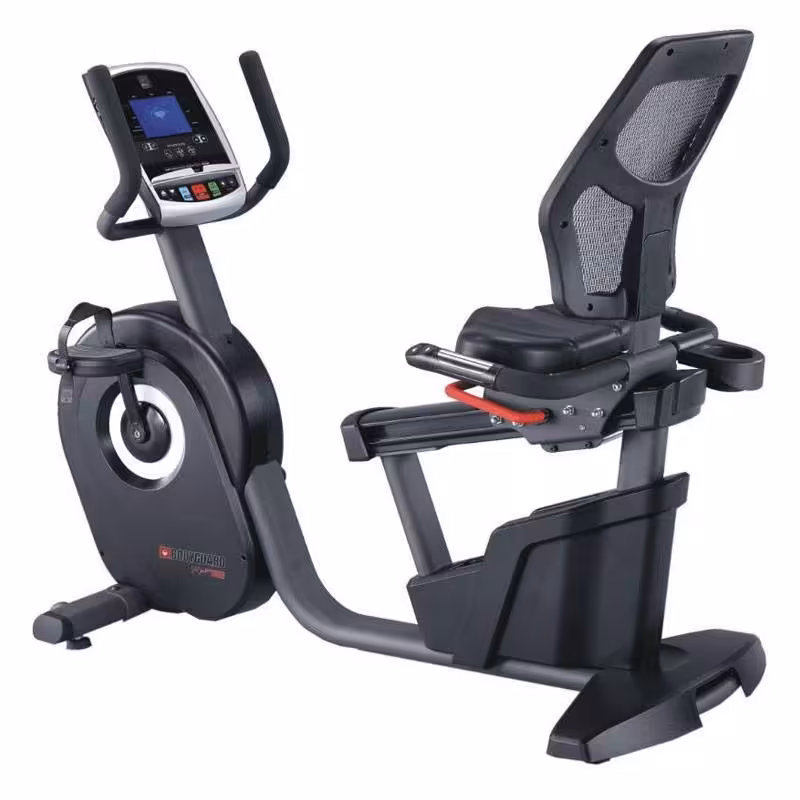 دوچرخه ثابت پشتی دار پروتئوس Proteus Bodyguard R75