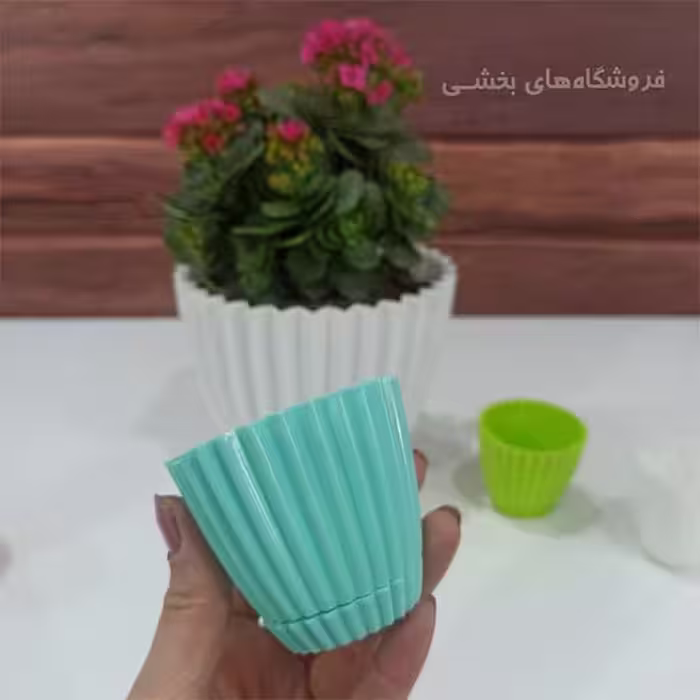 گلدان پلاستیکی کاکتوس مدل الماس دانیال