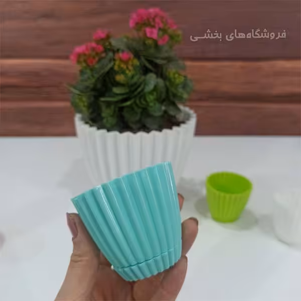 گلدان پلاستیکی کاکتوس مدل الماس دانیال