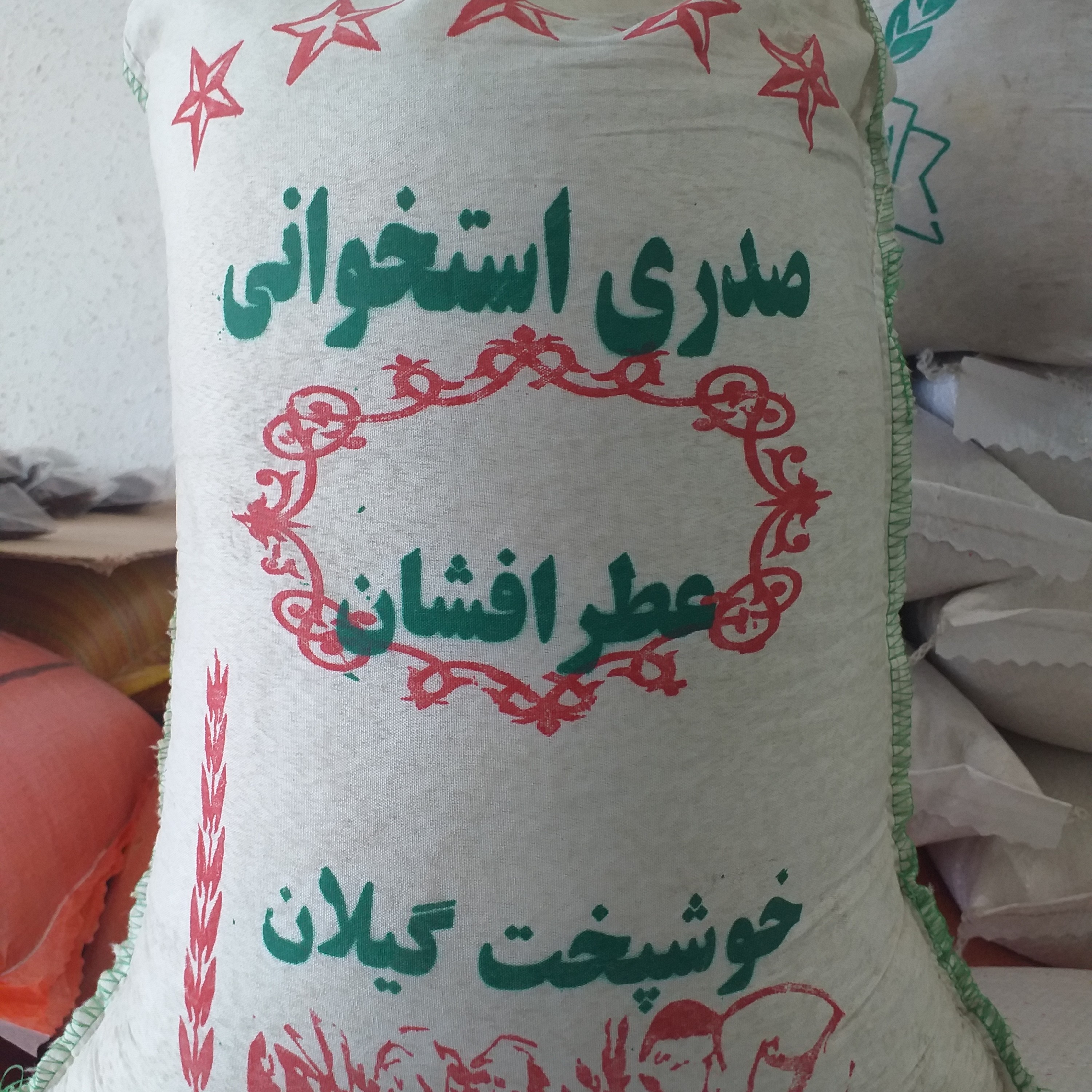 برنج صدری استخوانی و پر محصول گیلان