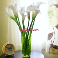 گل شیپوری 10 شاخه