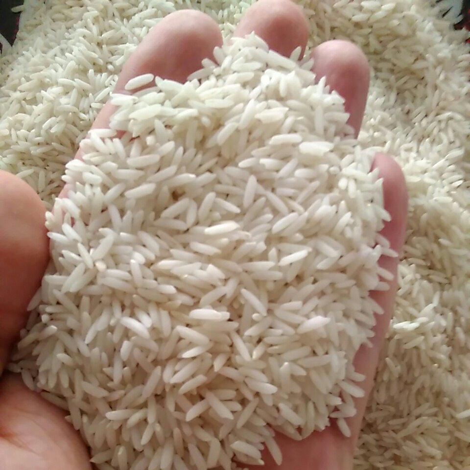 برنج هاشمی درجه یک 99 (10 کیلویی)