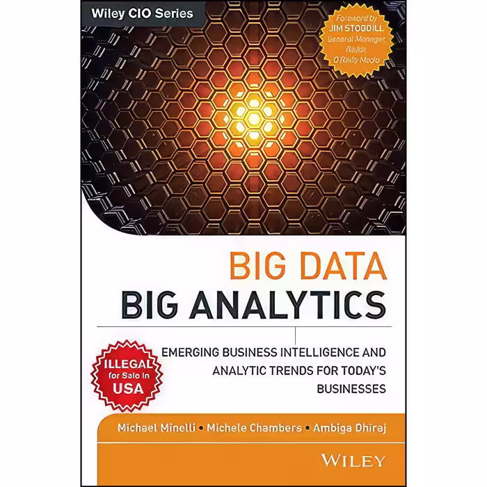 کتاب زبان اصلی Big Data Big Analytics اثر Michael Minelli and Ambiga Dhiraj