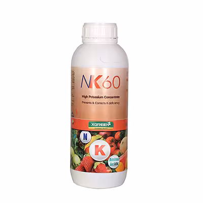 کود نیتروژن پتاسیم NK60 ایکس گرین