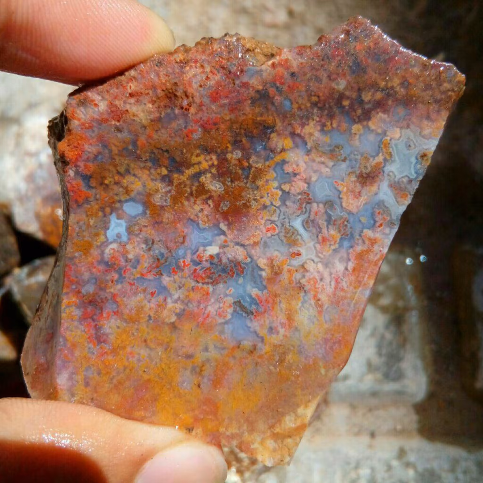 راف بی نظیر شجر هفت رنگ مختص تراش نگین های بسیار زیبا و کلکسیون