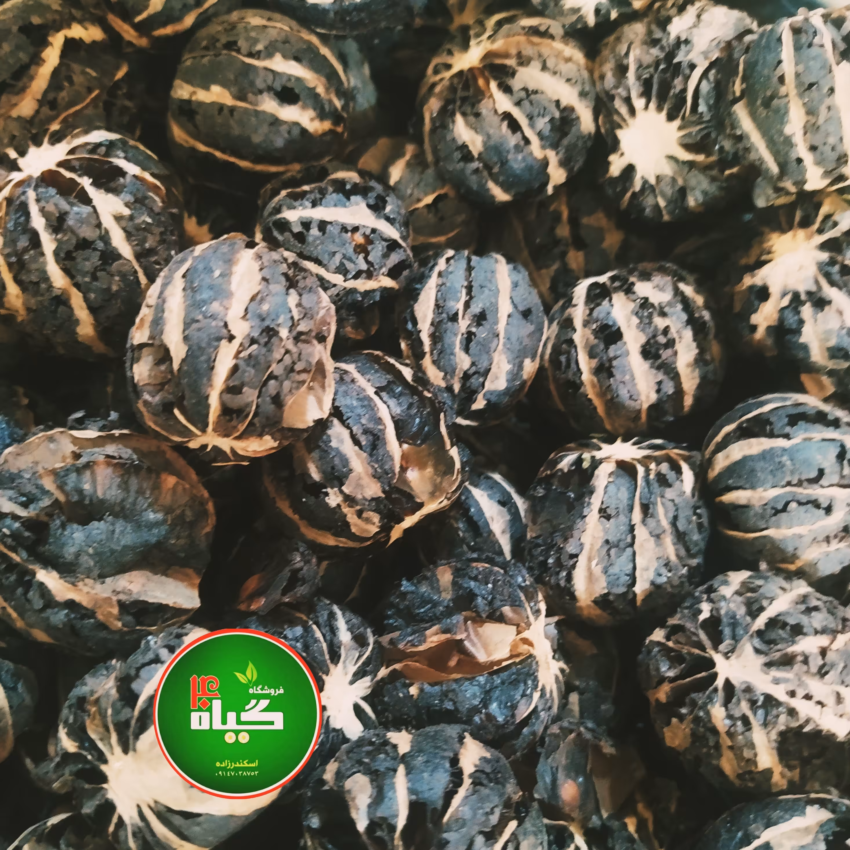 لیمو پرک درسته معروف به لیمو پلنگی (100گرمی ) عطاری چهل گیاه 