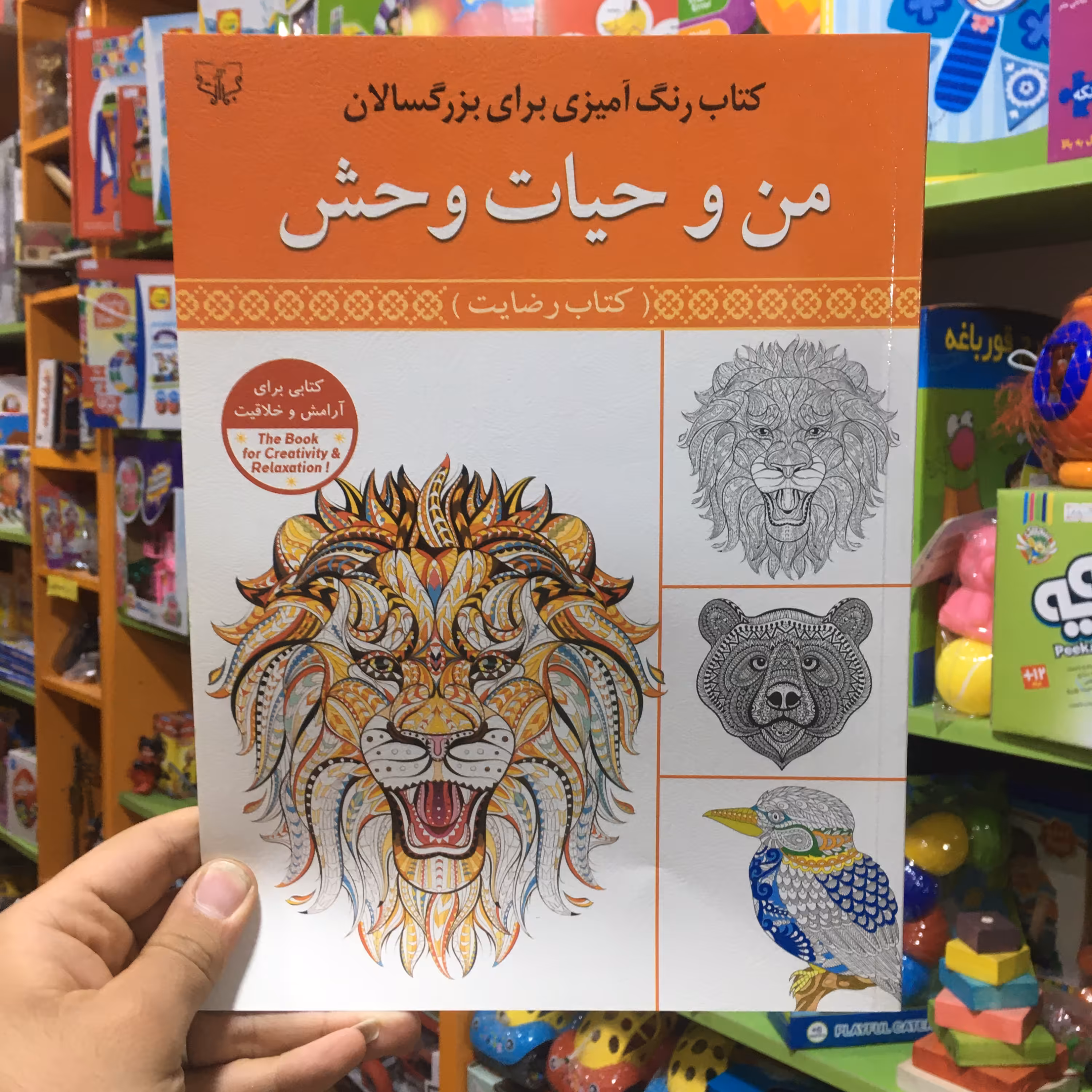 کتاب رنگ آمیزی بزرگسالان حیات وحش