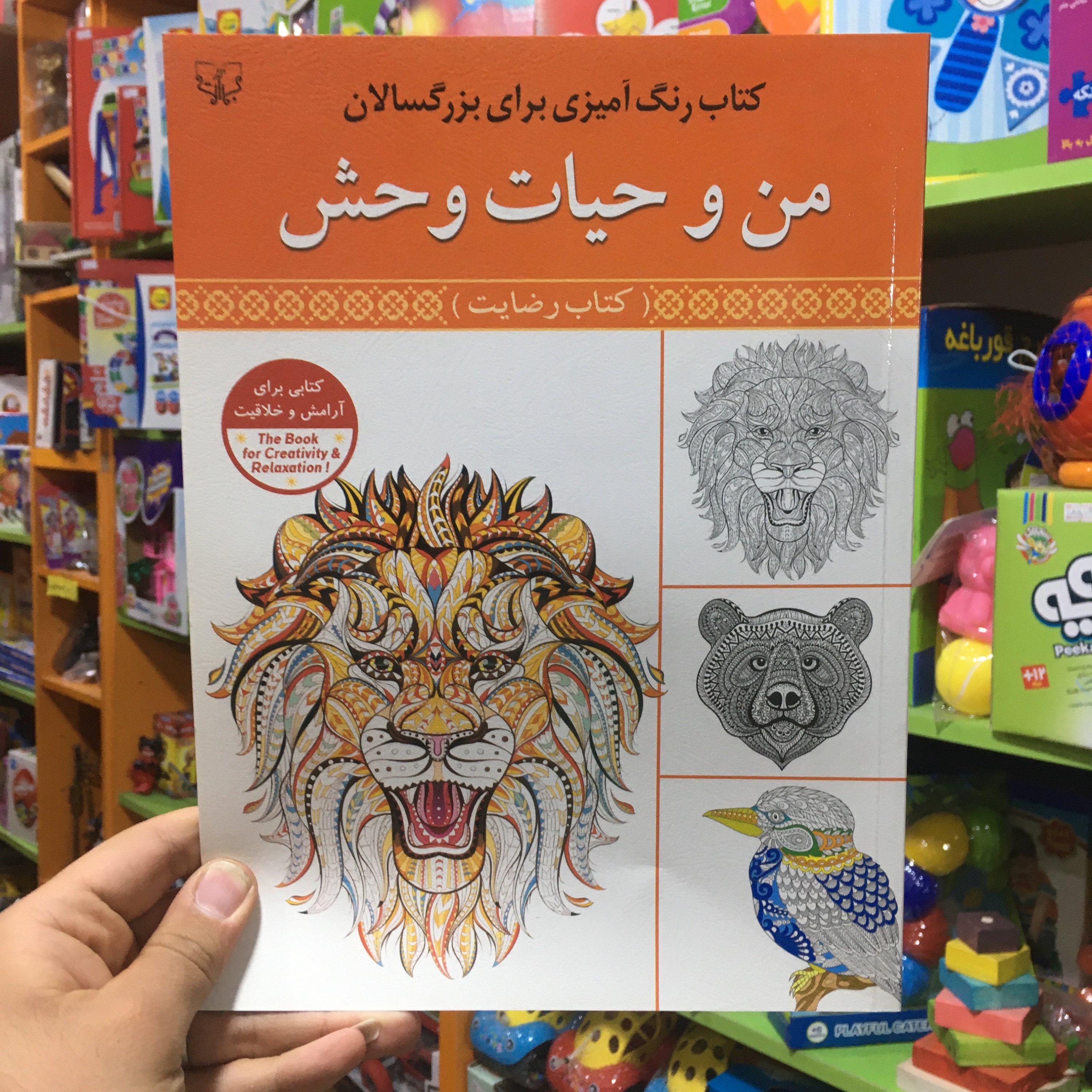 کتاب رنگ آمیزی بزرگسالان حیات وحش