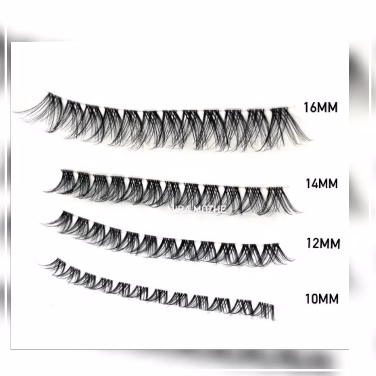 مژه ریسه ای فیشر 