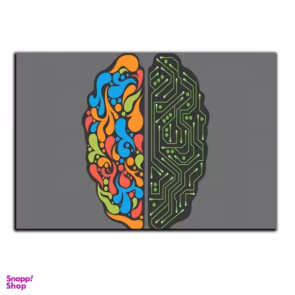 تابلو شاسی بکلیت طرح گرافیکی مغز مدل SH-S5183