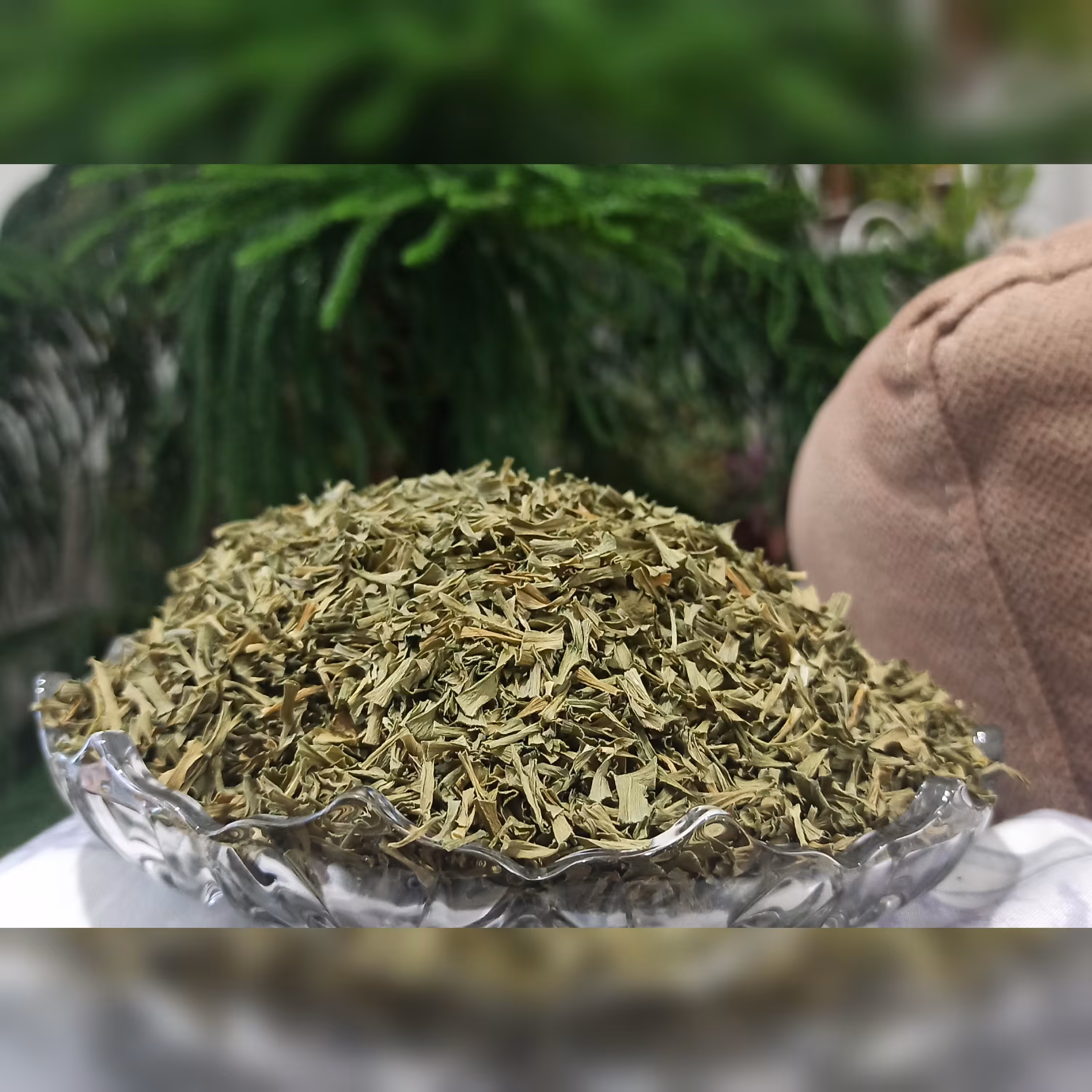 تره پودر و خشک شده در آفتاب بدون هرگونه افزودنی کاملاً  تمیز و بهداشتی 100 گرمی (پس کرایه)