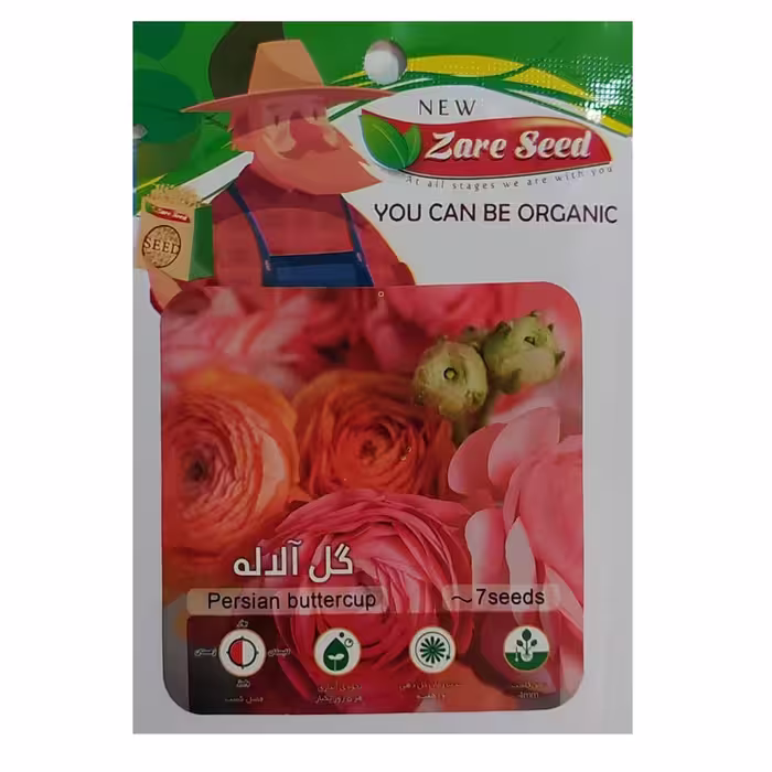 بذر گل آلاله بسته بندی کوچک برای باغچه و گلدان