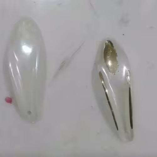 گلبرگ گل سرامیکی صدفی و لب طلایی 