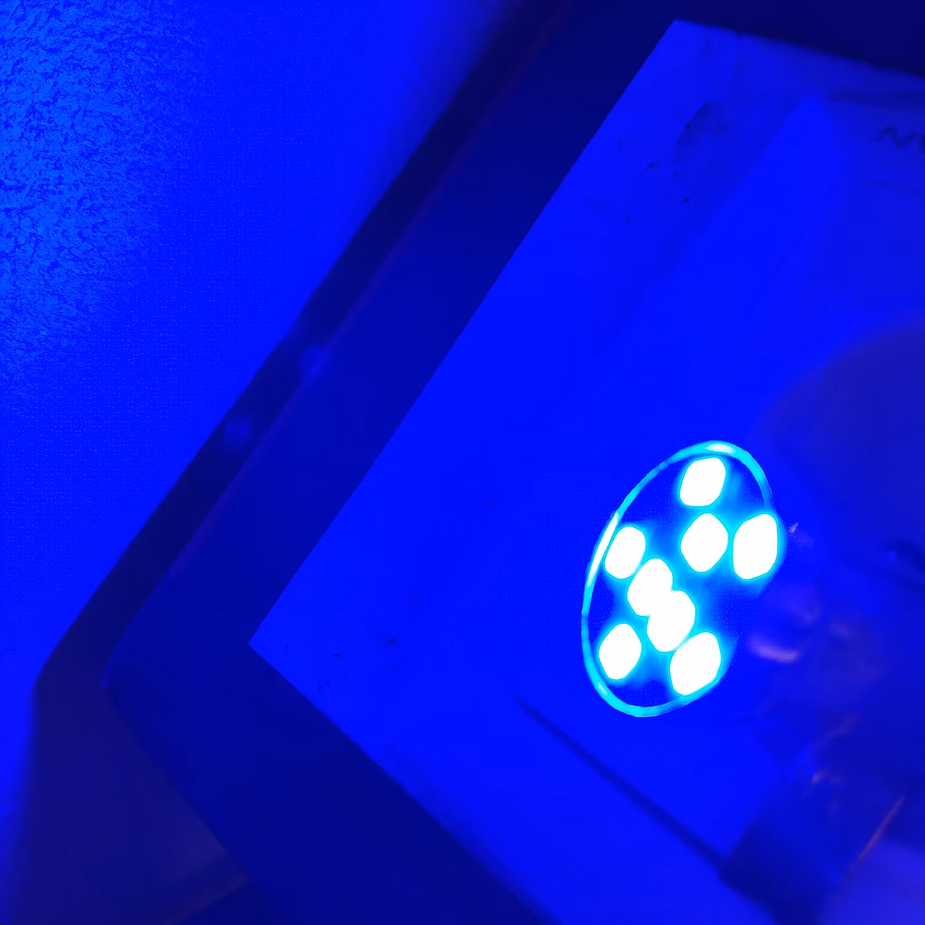 لامپ فندوقی smd   آبی بسته دوعددی یک کنتاکت24 ولت مناسب برای ماشین های سنگین جنس با کیفیت با حجم و پرتاب نور عالی