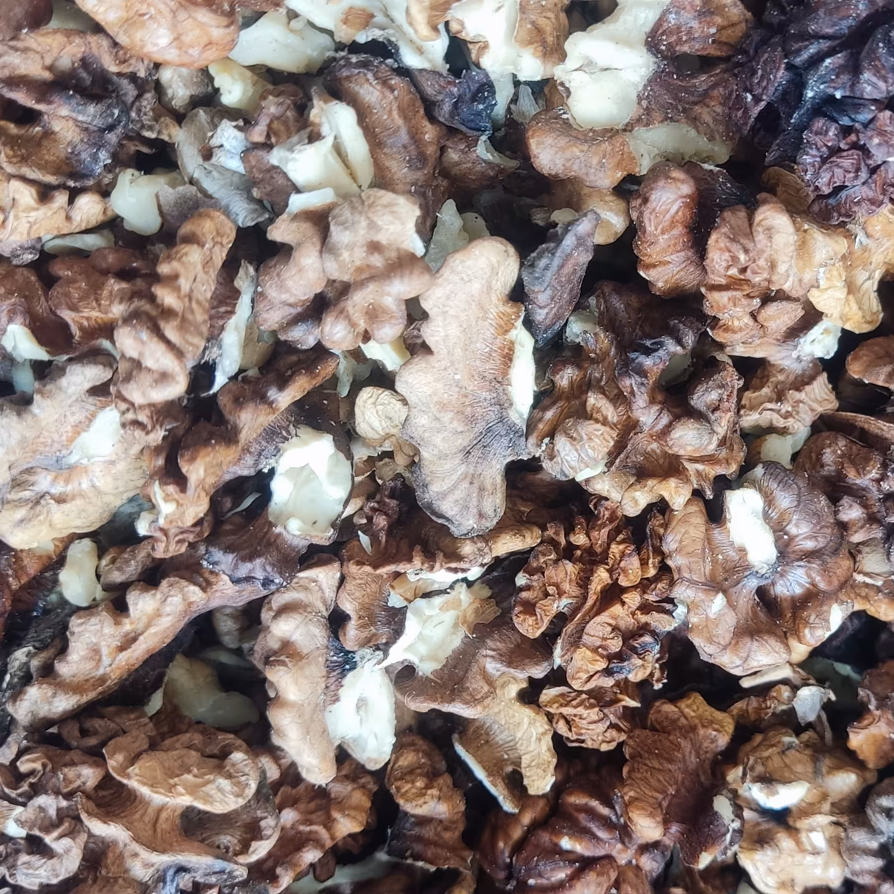 مغز گردو خورشتی