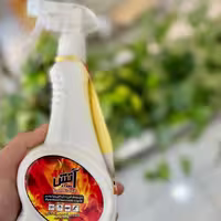سوسک کش و حشره کش( اسپری) آتش