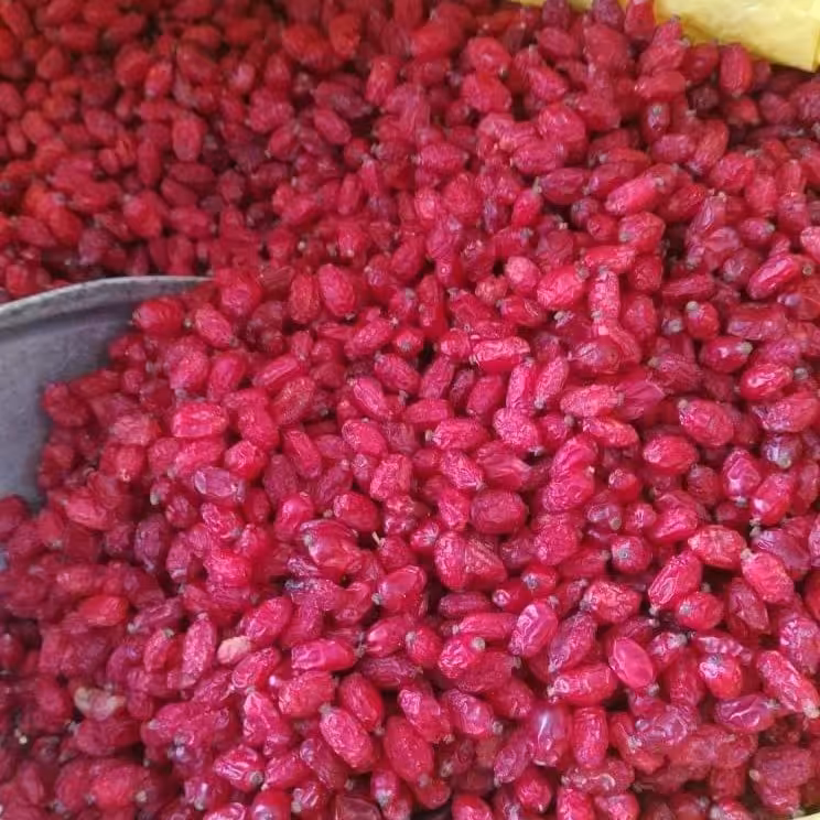 زرشک پفکی امسالی