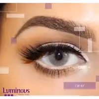 لنز رنگی سالیانه لومینوس رنگ gray خاکستری