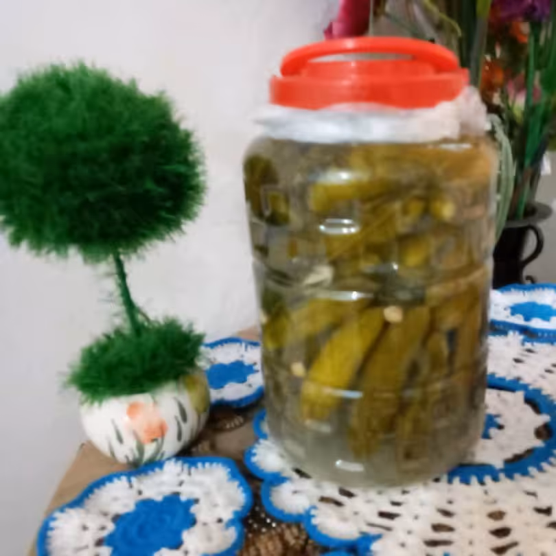 خیار شور  خانگی ترد وخوشمزه شمال با خیار های محلی  خوش عطر وبو