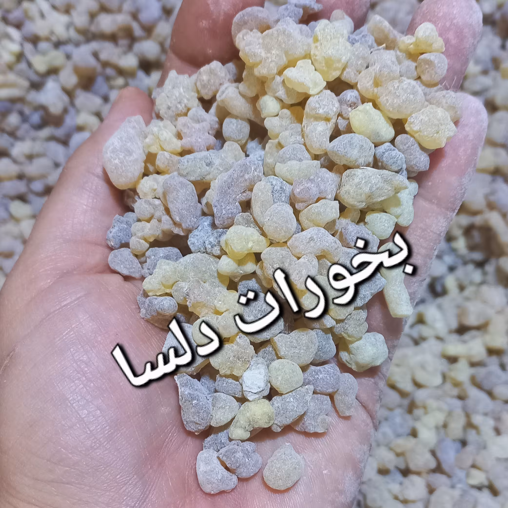 لبان الذکر سودانی کندر 125 گرمی