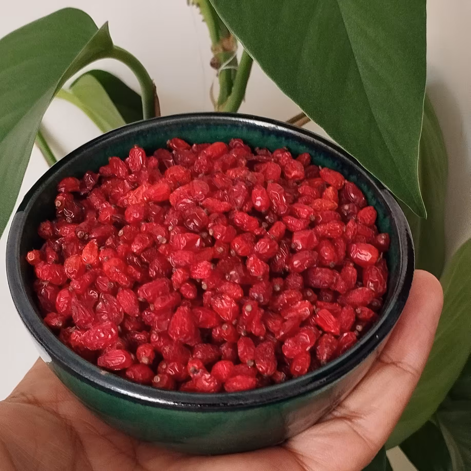  زرشک 10 کیلویی درجه یک صادراتی خراسان(پفکی)