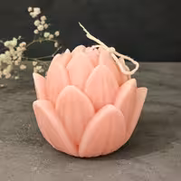 قالب سیلیکونی گل لوتوس