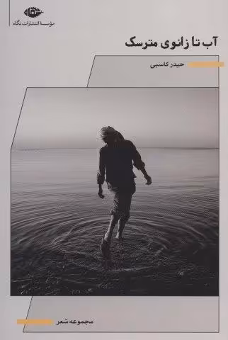 آب تا زانوی مترسک (مجموعه شعر)