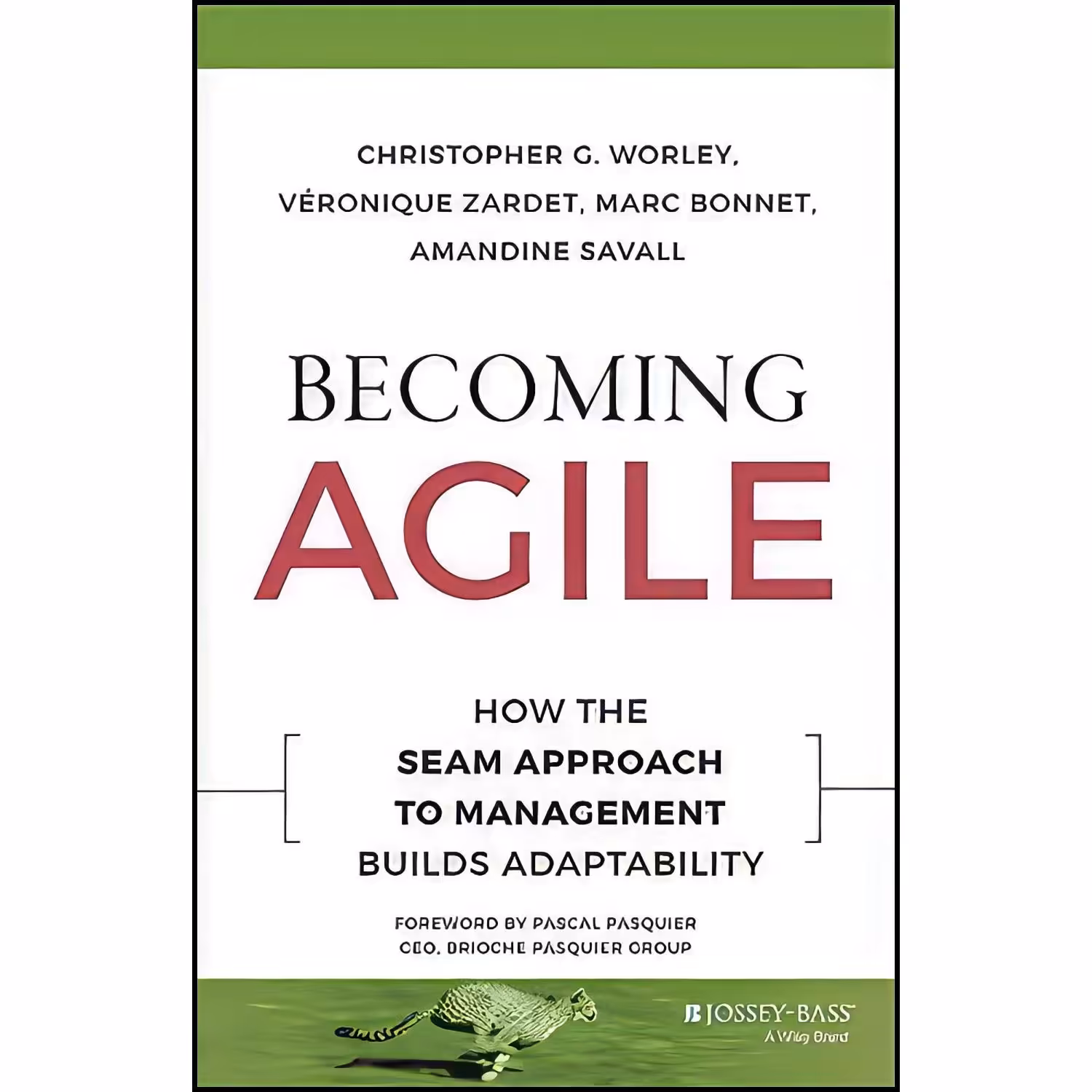 کتاب زبان اصلی Becoming Agile اثر جمعی از نویسندگان