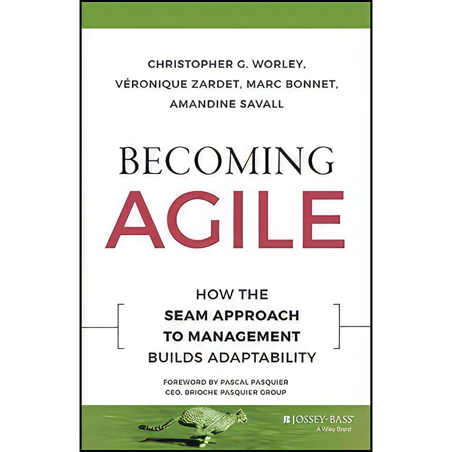 کتاب زبان اصلی Becoming Agile اثر جمعی از نویسندگان