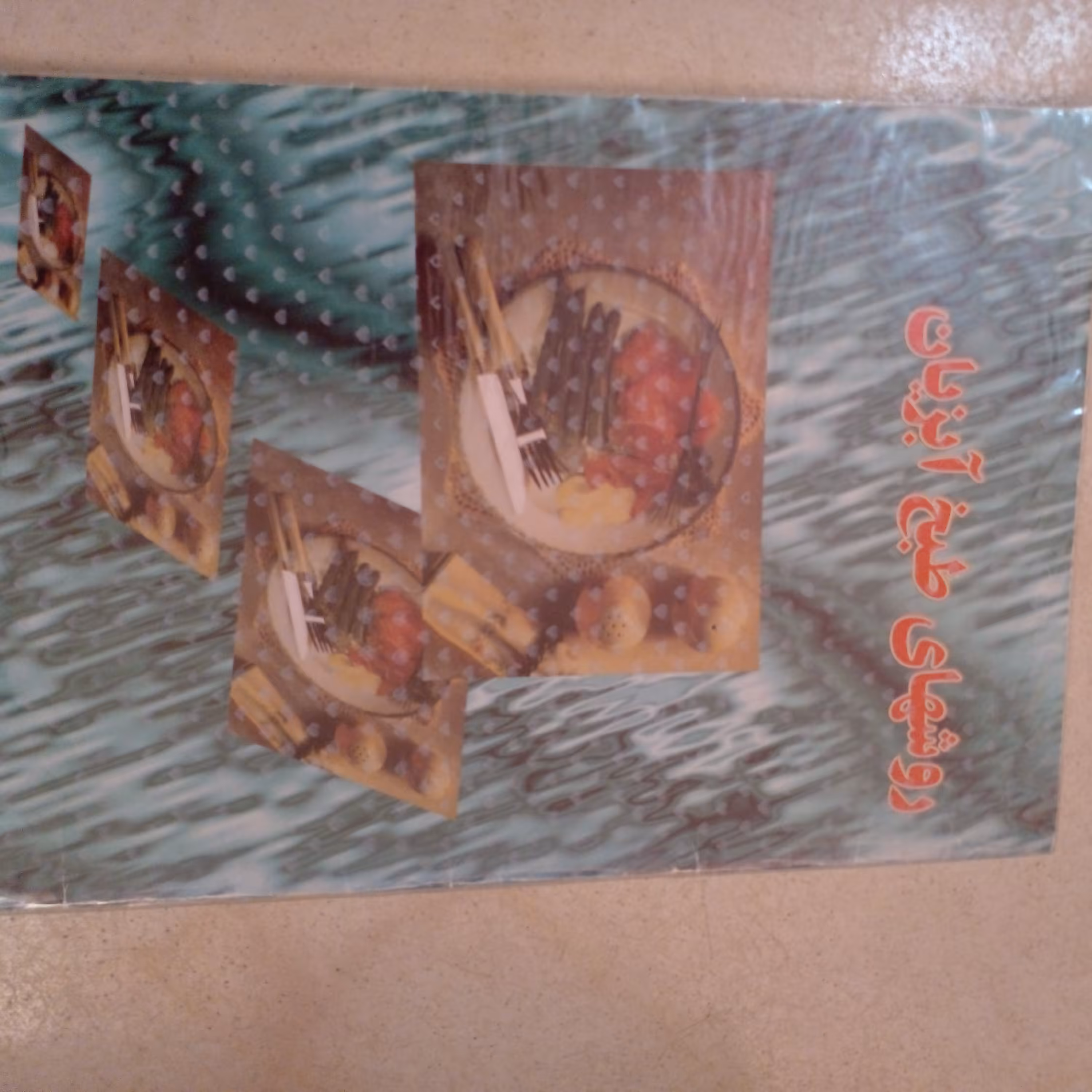 کتاب آشپزی روش طبخ آبزیان بهمراه دو عدد سی دی آشپزی مدرن با اموزشهای متفاوت با ارسال رایگان