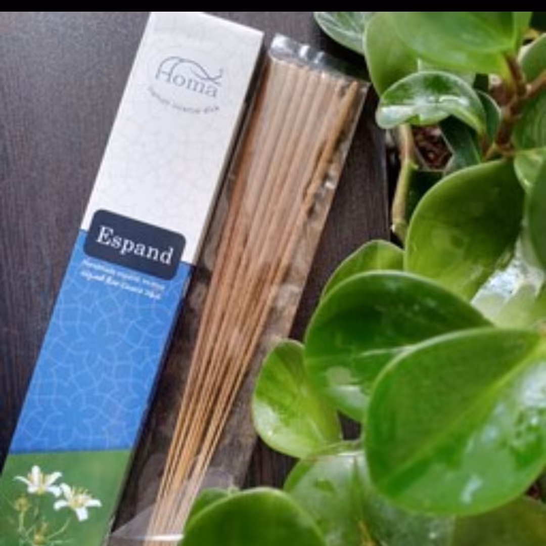 عود اسفند ضدعفونی کننده هوا،پاکسازی و آرامش(12عددی)