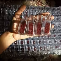 زعفران سرگل