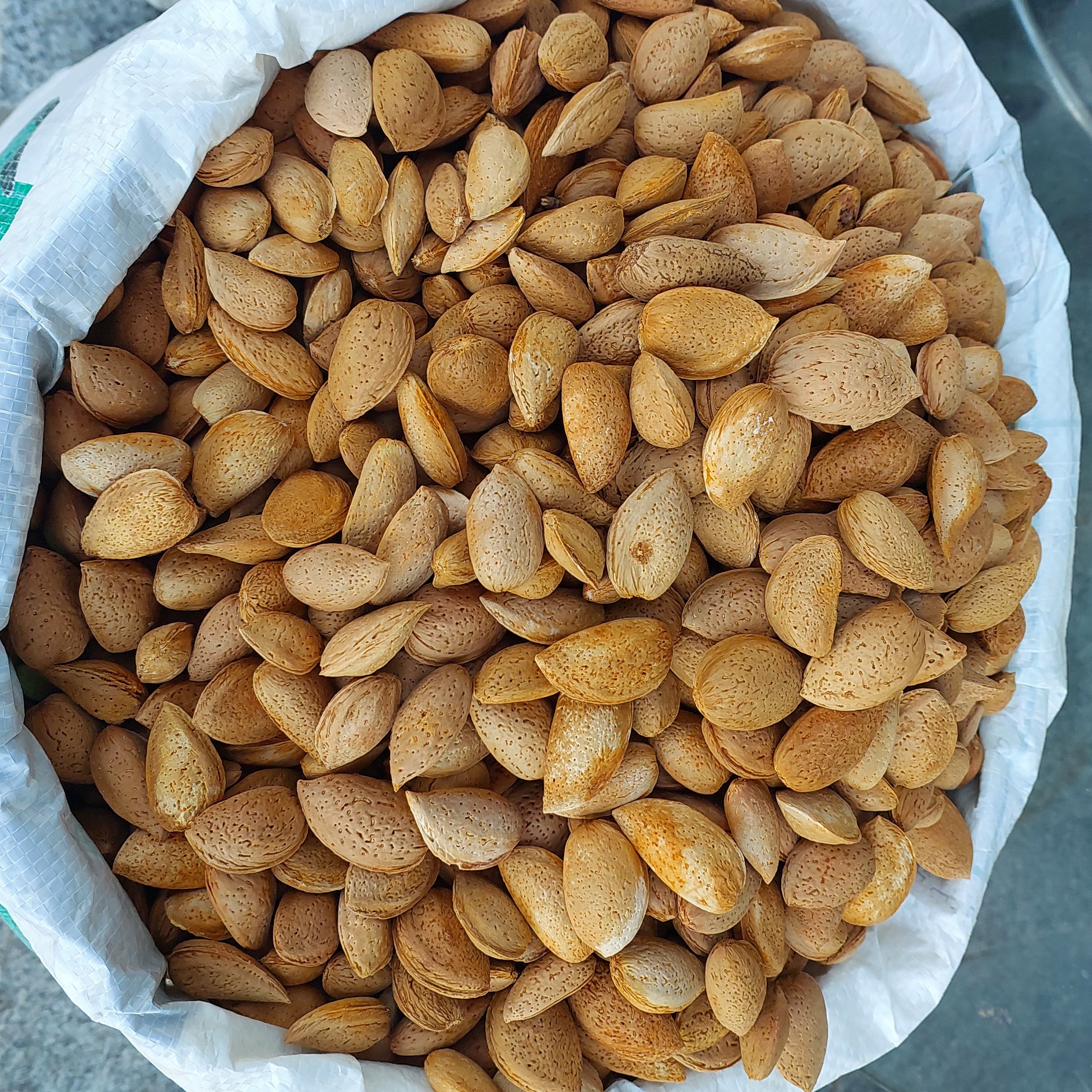 بادام درختی با پوست درجه یک(2کیلو) محصول کوهستانی شهر قوچان 