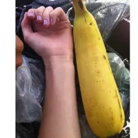نهال موز غول آسا