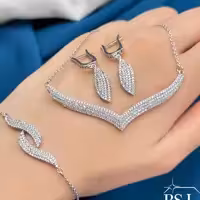 سرویس ظریف زنجیری