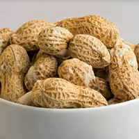 بادام زمینی باپوست فدک (250گرم)