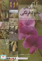 قیمت و خرید کتاب بیماری های نخودفرنگی اثر دکتر امیر ذوالفقاری | ایده بوک