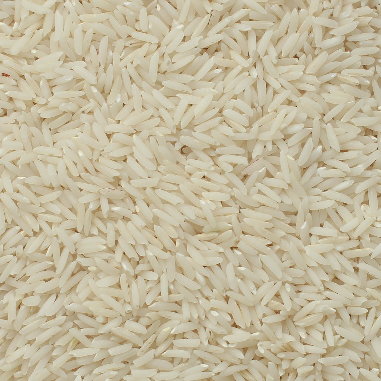 برنج طارم هاشمی دابودشت 
