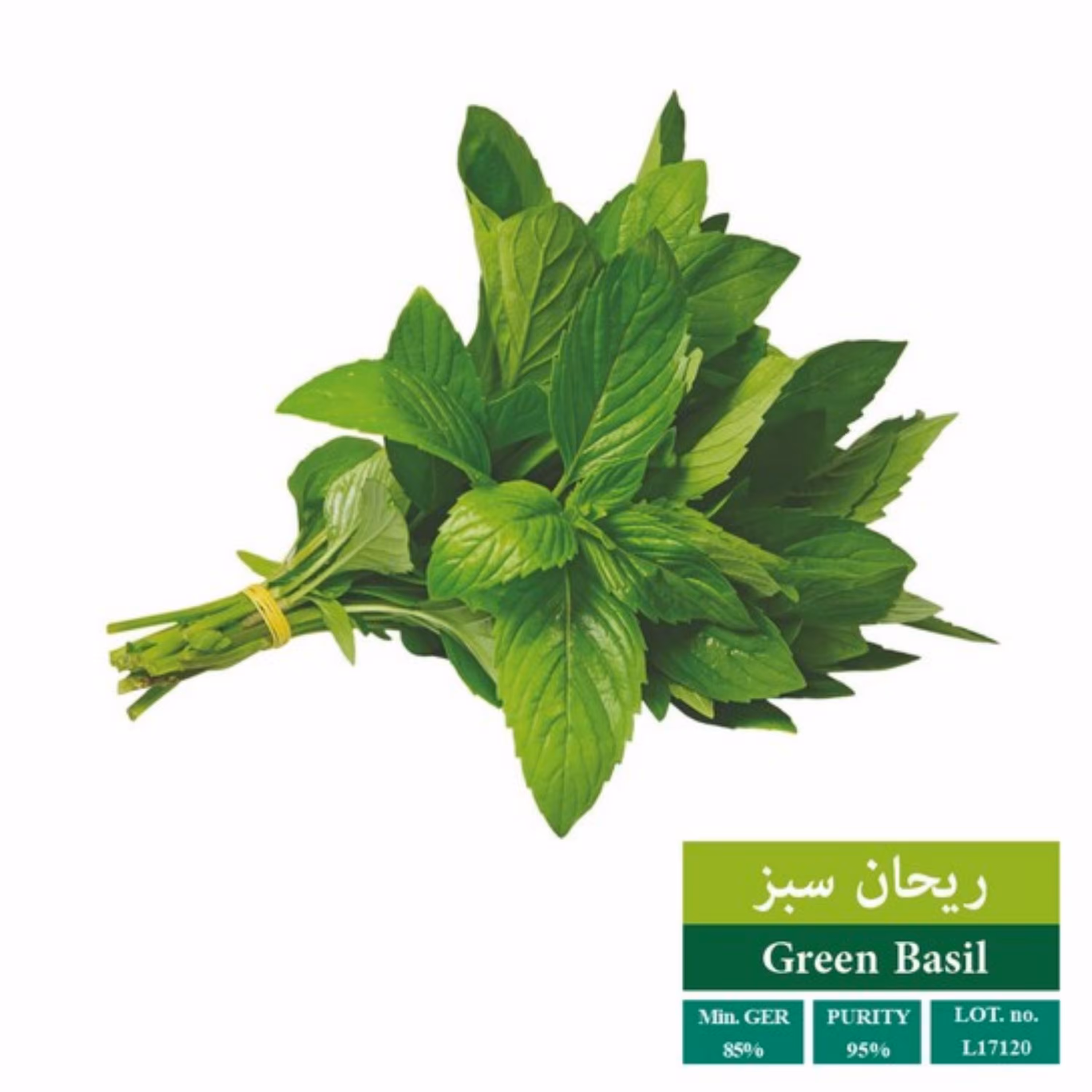 بذر ریحان سبز بذر طلایی رویان (یک بسته)