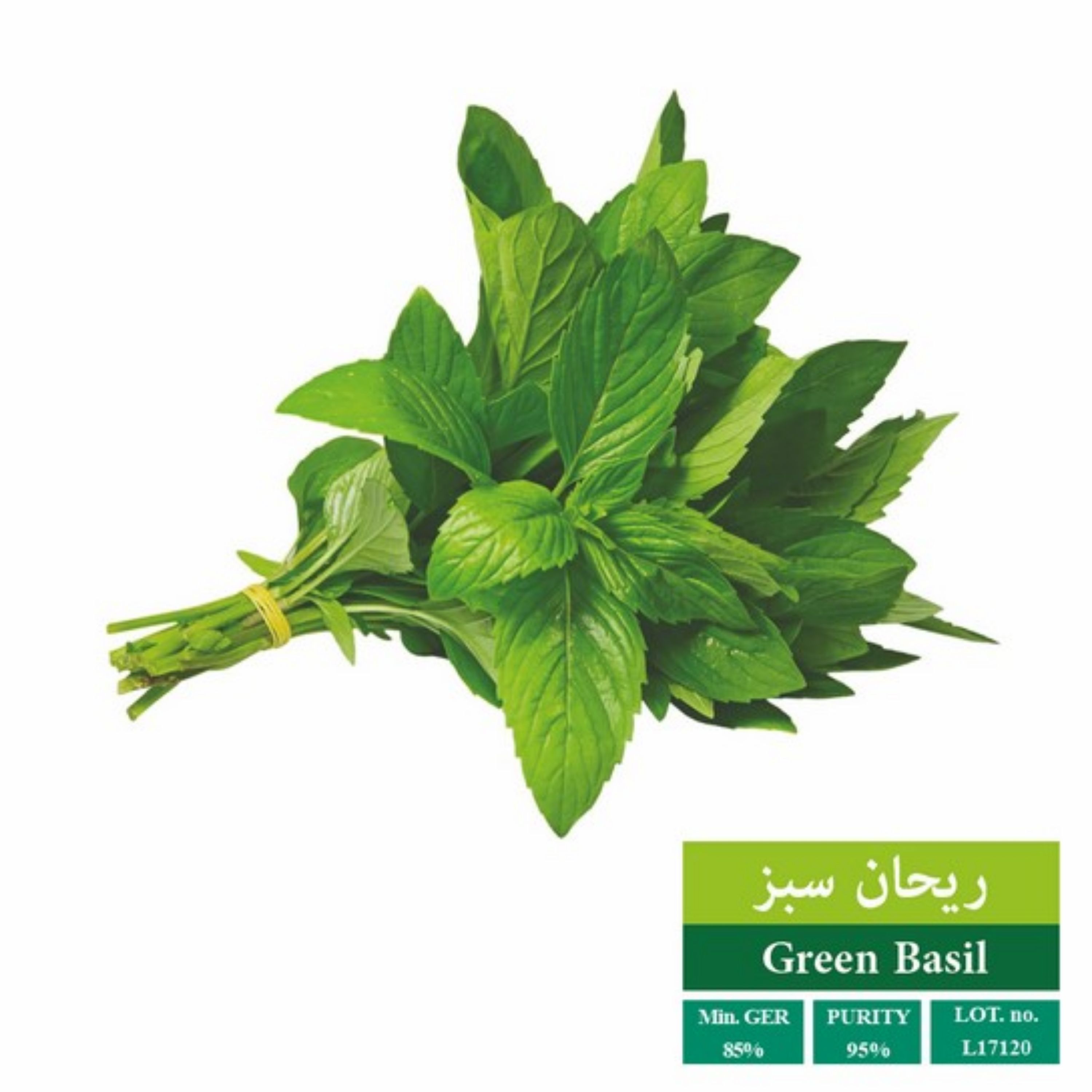 بذر ریحان سبز بذر طلایی رویان (یک بسته)