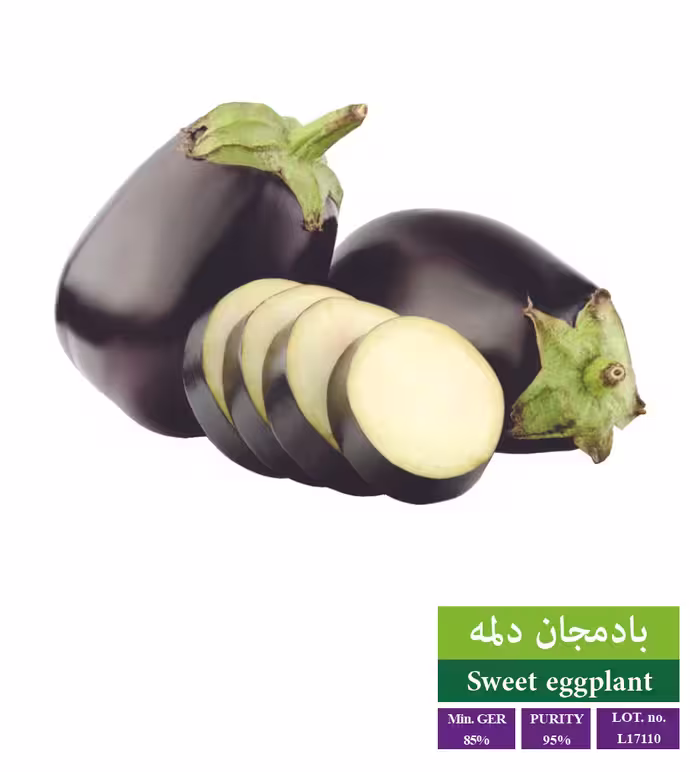 بذر بادمجان دلمه - بذر طلایی رویان