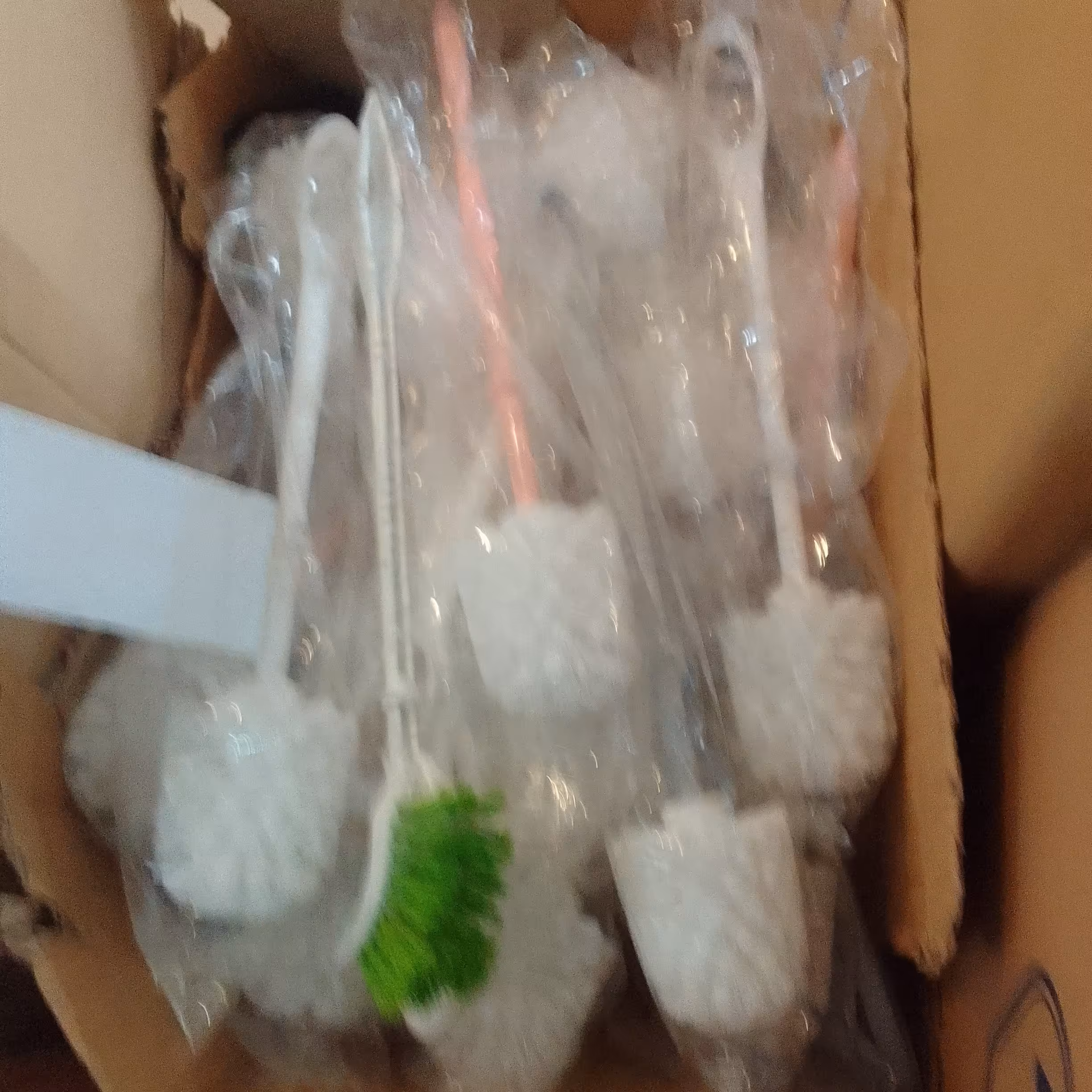 فرچه توالت شوی