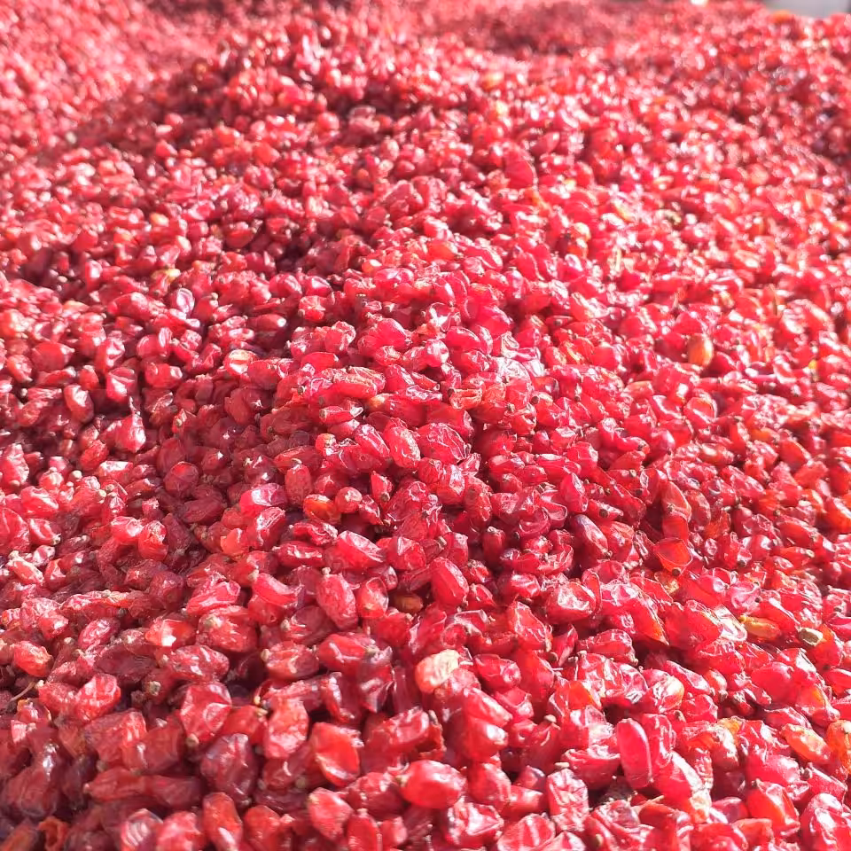 زرشک پفکی قاینات درجه 1 امسالی بسته یک کیلویی