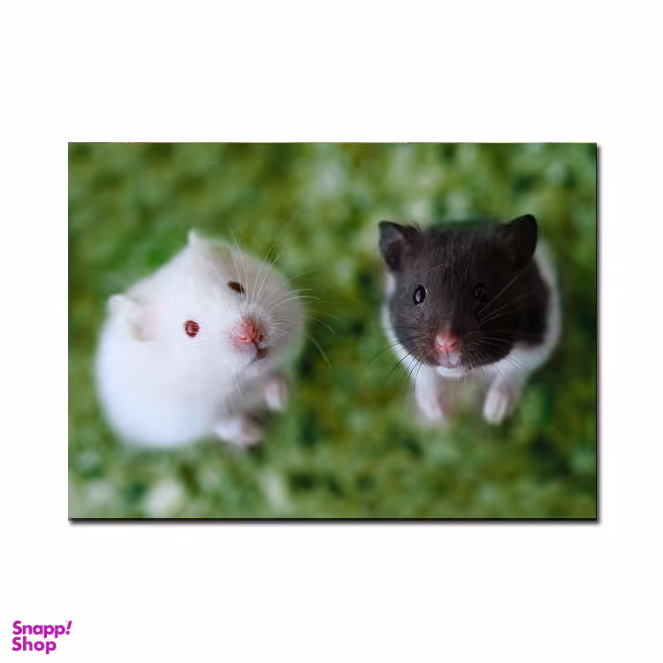 تابلو آهنربایی طرح موش‌های موشکی‌ لوس کد cham.1