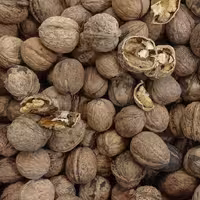 گردو پوست کاغذی