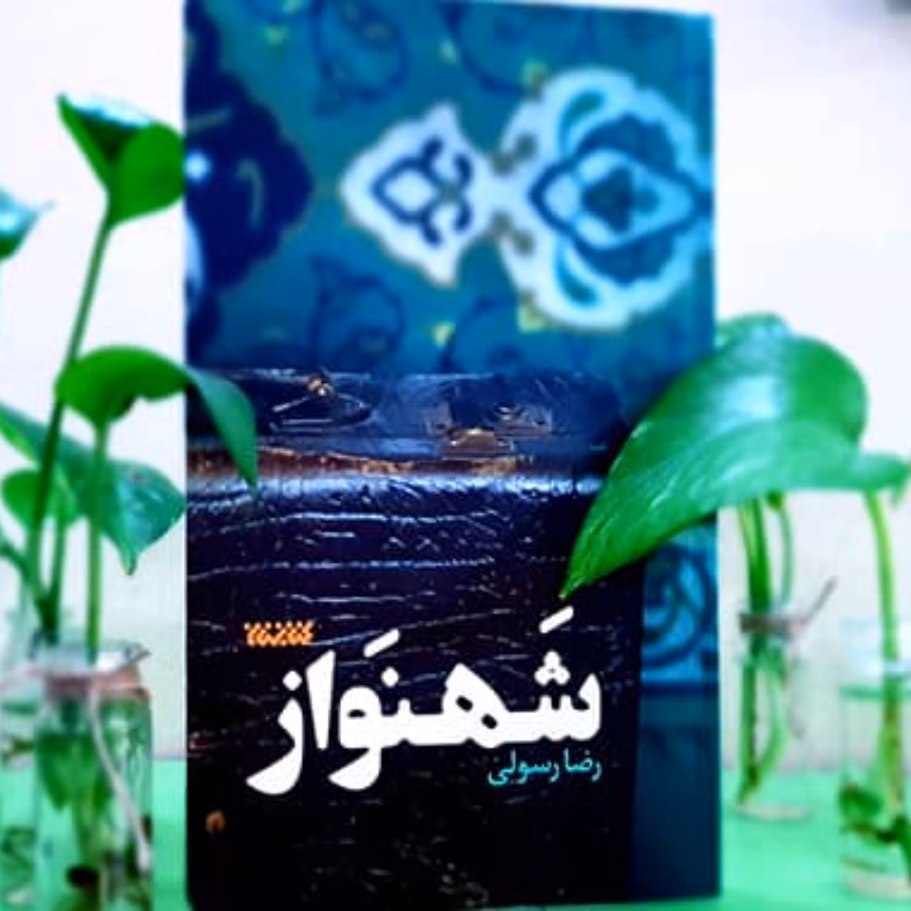 شهنواز - جوانی بلوچ و سنی مذهب  در گیر ودار  انتخابی سخت 