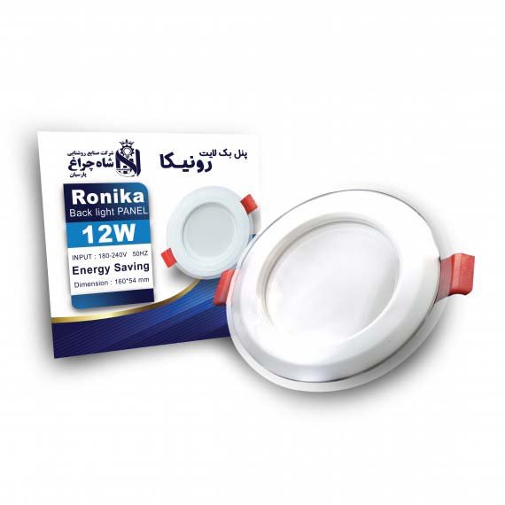 پنل توکار دور شیشه ای 12 وات رونیکا کارتن 20 عددی